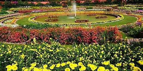 ಗೌತಮ್ ಬುದ್ಧ ಶತಮಾನೋತ್ಸವ ಗಾರ್ಡನ್