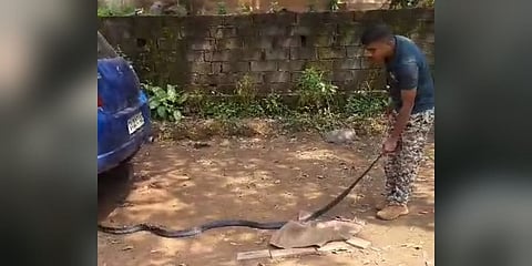 ಕಾರಿನಲ್ಲಿದ್ದ 10 ಅಡಿ ಉದ್ದದ ಕಾಳಿಂಗ ಸರ್ಪದ ರಕ್ಷಣೆ