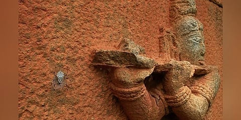 ಪ್ರಶಸ್ತಿ ಗೆದ್ದಿರುವ ವಿಹಾನ್ ಅವರ ಫೋಟೊ
