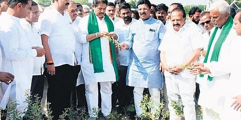 ಕಲಬುರಗಿ ಜಿಲ್ಲೆಯ ಶ್ರೀನಿವಾಸ ಸರಡಗಿ ಗ್ರಾಮದಲ್ಲಿ ಮಂಗಳವಾರ ವಿಧಾನಸಭೆ ವಿರೋಧ ಪಕ್ಷದ ನಾಯಕ ಆರ್ ಅಶೋಕ ಅವರು ಹೊಲದಲ್ಲಿ ಬೆಳೆ ಪರಿಶೀಲನೆ