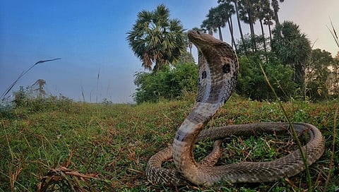 ಸಾಂದರ್ಭಿಕ ಚಿತ್ರ
