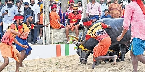 ಕಂಬಳದ ಒಂದು ನೋಟ