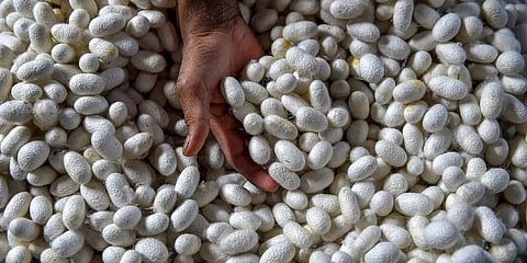ಸಾಂದರ್ಭಿಕ ಚಿತ್ರ