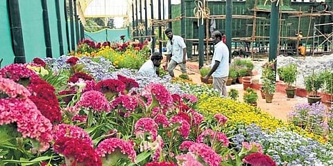 ಸಂಗ್ರಹ ಚಿತ್ರ