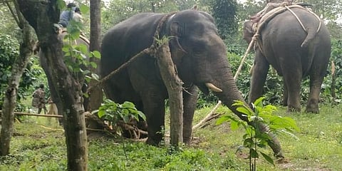 ಸಾಂದರ್ಭಿಕ ಚಿತ್ರ