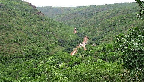ಸಂಗ್ರಹ ಚಿತ್ರ