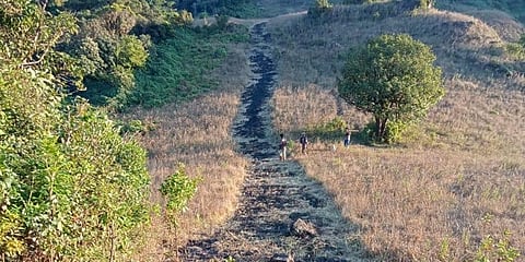 ಅರಣ್ಯ ಸಿಬ್ಬಂದಿ