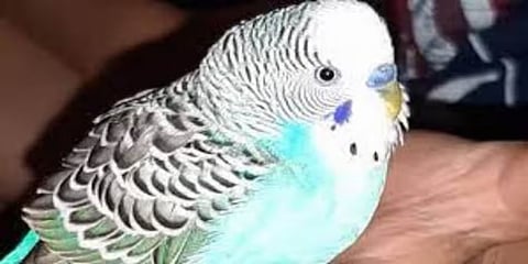 ಸಾಂದರ್ಭಿಕ ಚಿತ್ರ