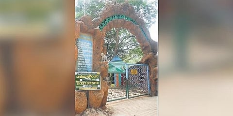 ಮೈಸೂರು ಮೃಗಾಲಯ