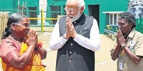 ಭಾನುವಾರ ಮುದುಮಲೈ ಹುಲಿ ಸಂರಕ್ಷಿತ ಪ್ರದೇಶಕ್ಕೆ ಭೇಟಿ ನೀಡಿದ ಪ್ರಧಾನಿ ನರೇಂದ್ರ ಮೋದಿ ಅವರು ಬೆಳ್ಳಿ ಮತ್ತು ಬೊಮ್ಮನ್ ಅವರನ್ನು ಭೇಟಿ ಮಾಡಿದರು.