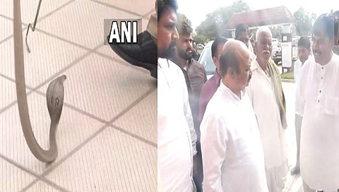 ಕಚೇರಿ ಬಳಿ ಹಾವು ಕಾಣಿಸಿಕೊಂಡಿರುವುದು.