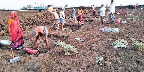 ಸಂಗ್ರಹ ಚಿತ್ರ