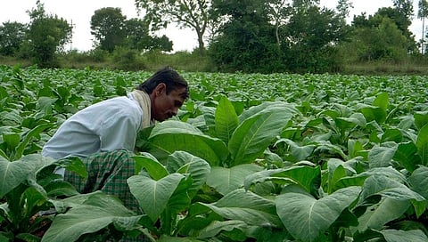 ಸಂಗ್ರಹ ಚಿತ್ರ