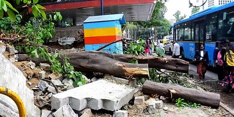 ಬೆಂಗಳೂರಿನಲ್ಲಿ ಸೋಮವಾರ ಸುರಿದ ಭಾರಿ ಮಳೆಗೆ ಬೆಂಗಳೂರು ವಿಶ್ವವಿದ್ಯಾಲಯದ ಕಾಂಪೌಂಡ್ ಗೋಡೆಗೆ ಹಾನಿಯಾಗಿದೆ. (ಫೋಟೋ | ಶಶಿಧರ್ ಬೈರಪ್ಪ)