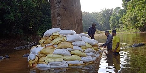 ಸೇತುವೆ ಉಳಿಸಲು ಮರಳಿನ ಚೀಲ ಹಾಕಿರುವುದು