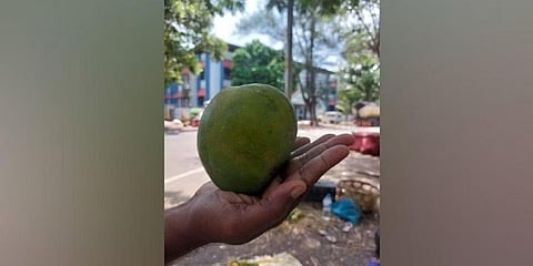 ಇಶಾಡು ಮಾವು