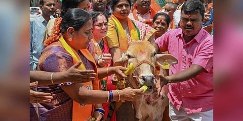 ಹಸುಗಳನ್ನು ತಂದು ಬಿಜೆಪಿ ಕಾರ್ಯಕರ್ತರ ಪ್ರತಿಭಟನೆ