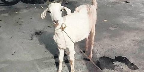 ಸಾಂದರ್ಭಿಕ ಚಿತ್ರ