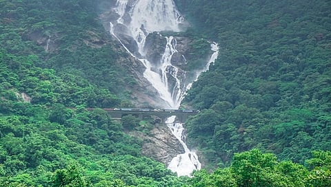 ದೂದ್ ಸಾಗರ್ ಜಲಪಾತ