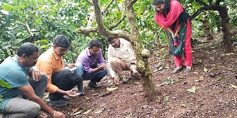 ಬೆಳೆ ಹಾನಿ ಸಮೀಕ್ಷೆ