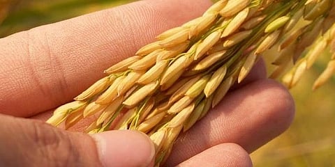 ಪ್ರಾತಿನಿಧಿಕ ಚಿತ್ರ