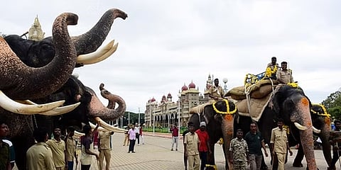 ಸಾಂದರ್ಭಿಕ ಚಿತ್ರ