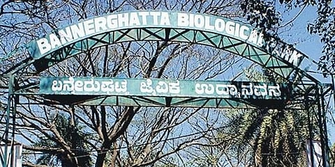 ಸಂಗ್ರಹ ಚಿತ್ರ