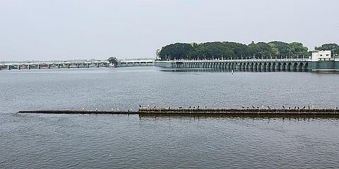 ಸಂಗ್ರಹ ಚಿತ್ರ