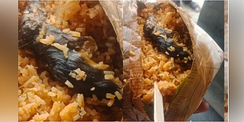 ಆಹಾರ ಪೊಟ್ಟಣದಲ್ಲಿ ಸತ್ತ ಇಲಿ
