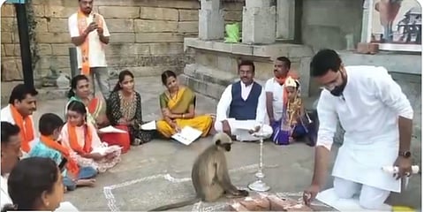 ಪೂಜಾ ಸ್ಥಳದಲ್ಲಿ ಕಾಣಿಸಿಕೊಂಡ ಮಂಗ