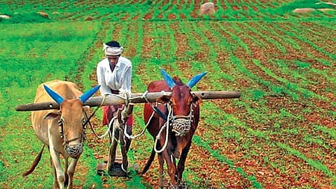 ಸಂಗ್ರಹ ಚಿತ್ರ