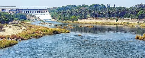 ಸಂಗ್ರಹ ಚಿತ್ರ