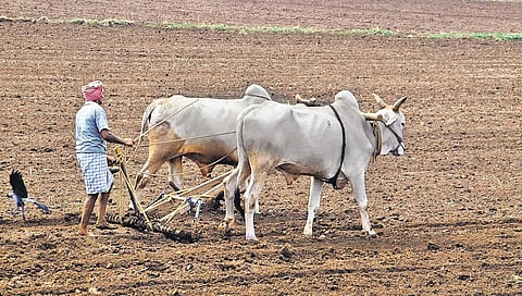 ಪ್ರಾತಿನಿಧಿಕ ಚಿತ್ರ
