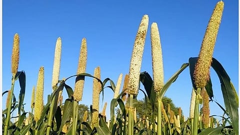 ಸಾಂದರ್ಭಿಕ ಚಿತ್ರ 