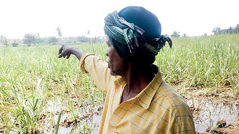 ಸಾಂದರ್ಭಿಕ ಚಿತ್ರ 