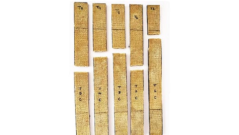 ಬಾಳೆ ಟೈಲ್ಸ್