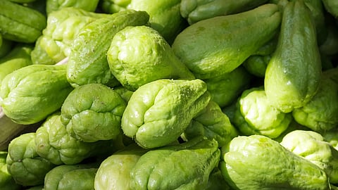 Health Benefits of Chayote