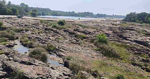 cauvery river situation in karnataka (file pic)