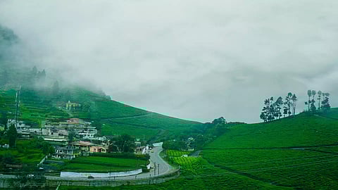 Heavy Rains in Ooty