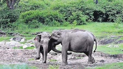 ಸಾಂದರ್ಭಿಕ ಚಿತ್ರ