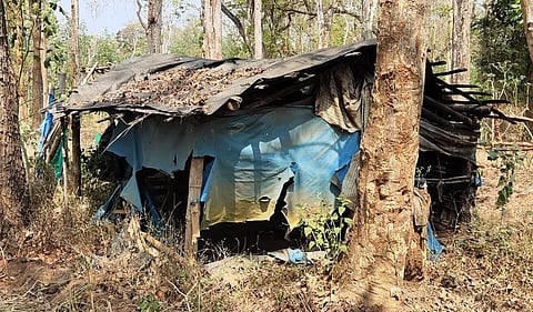 A hut in the Thatalli tribal settlement at Maldare near Siddapura in Kodagu