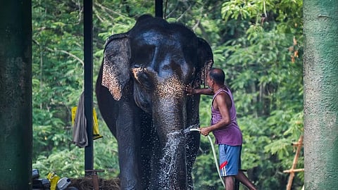 ಸಾಂದರ್ಭಿಕ ಚಿತ್ರ