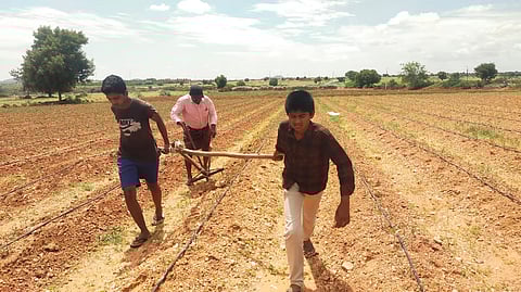 Losses suffered due to drought conditions, and the death of his only one ox, have forced Boya Sarddanappa of Nuthimadug village, Kamabadoor mandal of Anantapur district to replace the ox with his children to plow his five acres of land to cultivate.