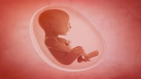 Fetus killing network found in Belgavi