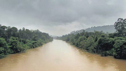 Bhadra River (file image)