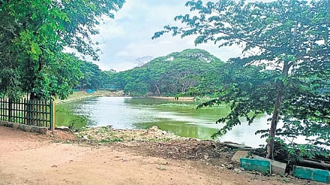 ಹಲಸೂರು ಕೆರೆ