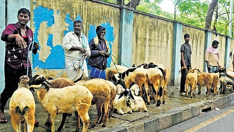 ಬಕ್ರೀದ್ ಪ್ರಯುಕ್ತ ಭಾನುವಾರ ಆರ್‌ಟಿ ನಗರ ಮುಖ್ಯರಸ್ತೆಯಲ್ಲಿ ವಿವಿಧೆಡೆಯಿಂದ ಆಗಮಿಸಿದ್ದ ಅಪಾರ ಸಂಖ್ಯೆಯ ವ್ಯಾಪಾರಿಗಳು ಮೇಕೆಗಳನ್ನು ಮಾರಾಟ ಮಾಡಿದರು.