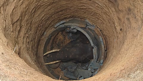 ನಿರ್ಮಾಣ ಹಂತದಲ್ಲಿದ್ದ ಬಾವಿಗೆ ಬಿದ್ದು ಕಾಡಾನೆ ಸಾವು