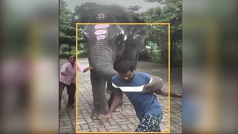 Kukke subramanya Temple Elephant