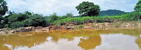 ಮಂಗಳೂರು: ಮರಳು ದಂಧೆಯಿಂದ ಕಣ್ಮರೆಯಾಗುತ್ತಿದೆ 'ಪಾವೂರು ಉಳಿಯ ದ್ವೀಪ'!